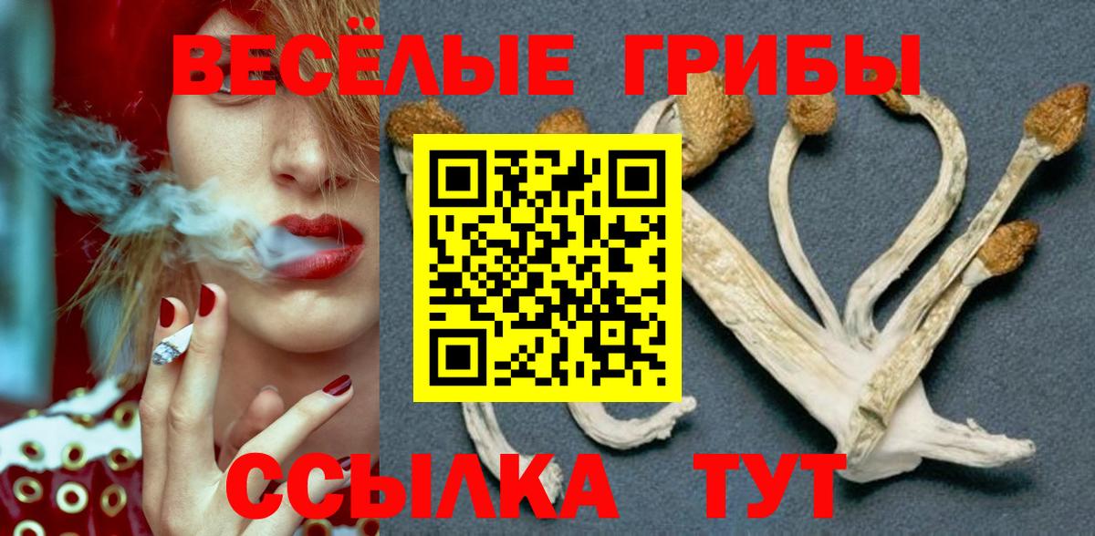 Гусиноозёрск  Галлюциногенные грибы мицелий  Вход с VPN 