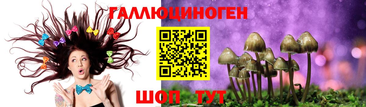 Псилоцибиновые грибы прущие грибы Гусиноозёрск